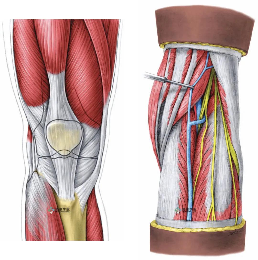 福彩3D号码分布规律识别指南